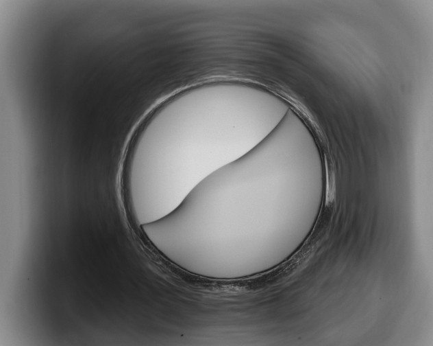 X0000100320387200806051354