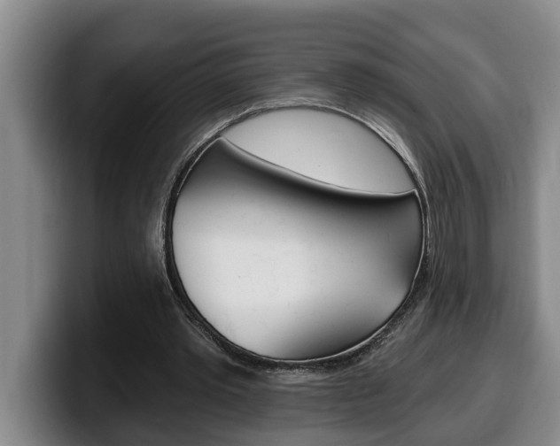 X0000100320389200806051354