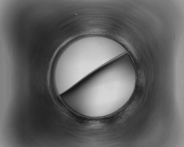 X0000100320392200806051354