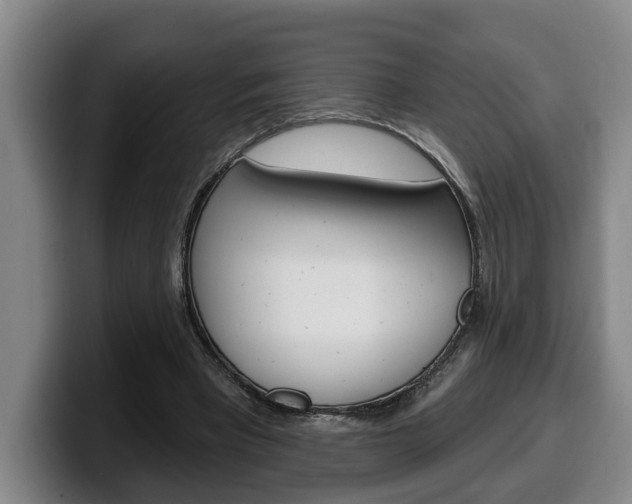 X0000100320393200806051354