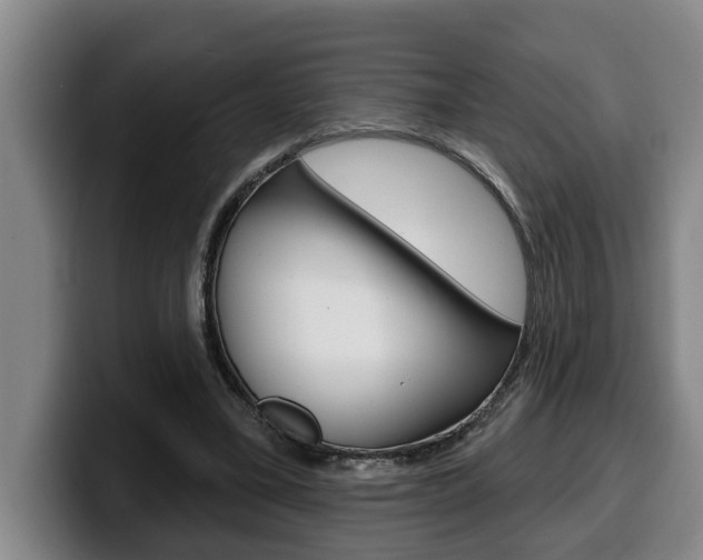 X0000100320395200806051354