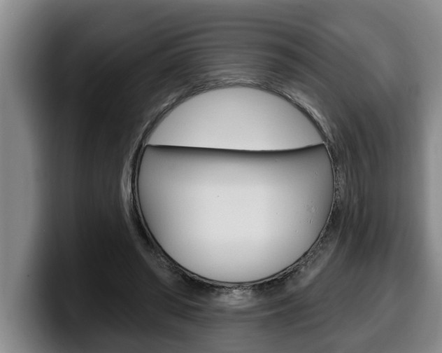 X0000100320398200806051354