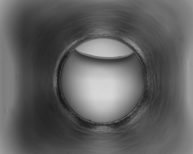 X0000100320399200806051354
