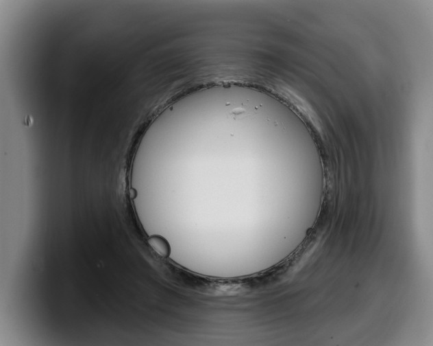 X0000100320401200806051354