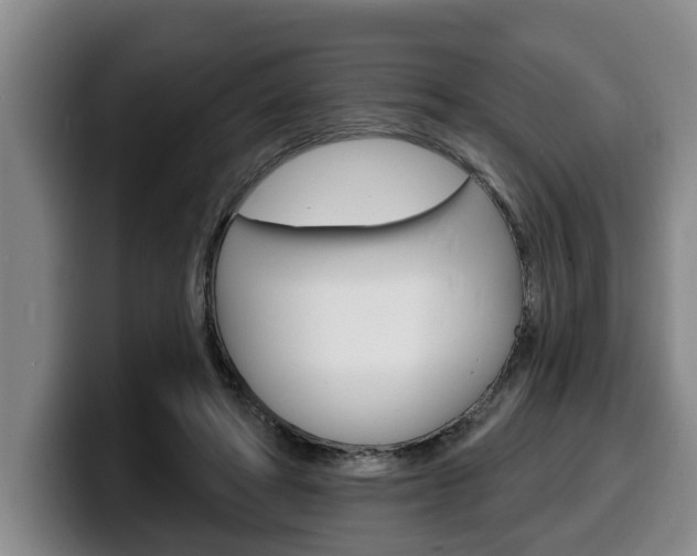 X0000100320402200806051354