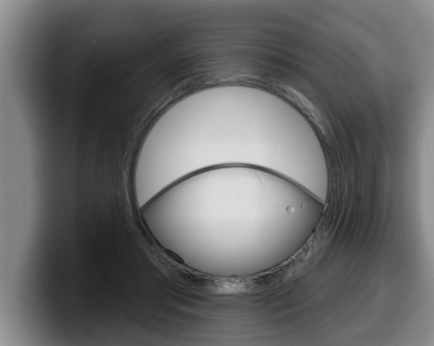 X0000100320405200806051354