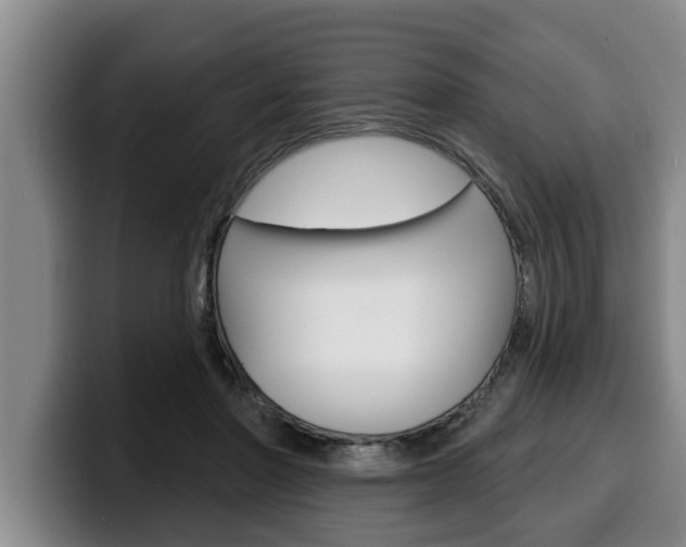 X0000100320406200806051354