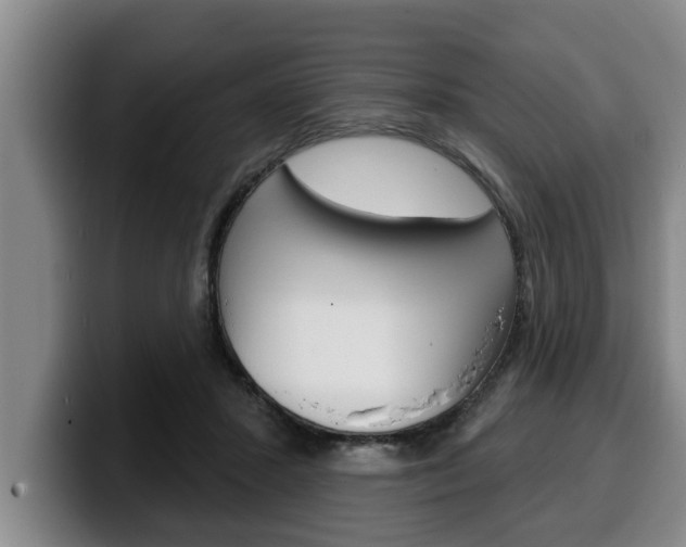 X0000100320407200806051354