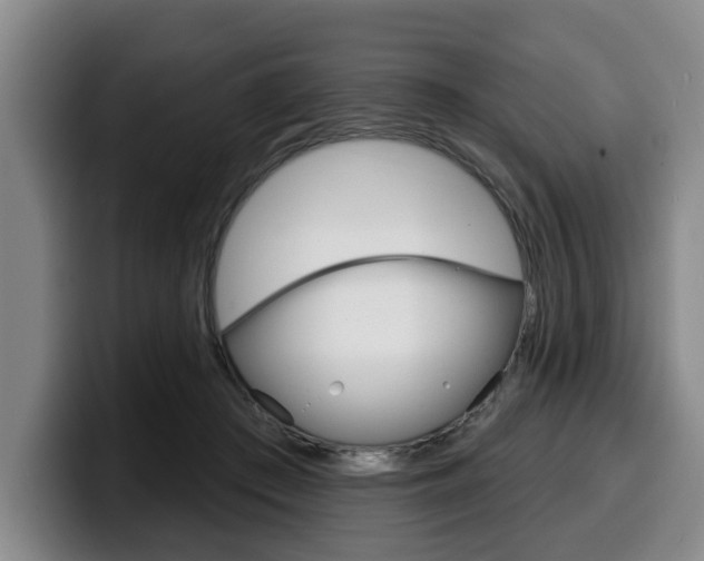 X0000100320409200806051354