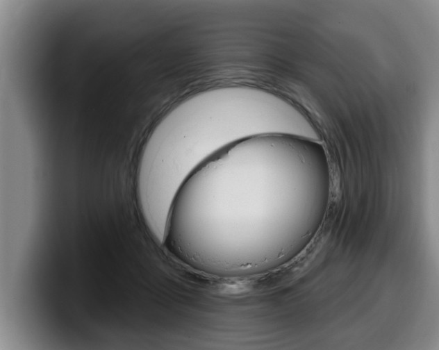 X0000100320411200806051354