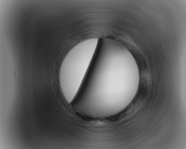X0000100320412200806051354