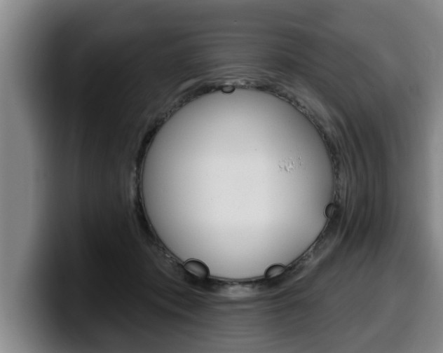 X0000100320413200806051354