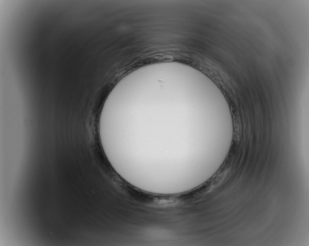 X0000100320414200806051354