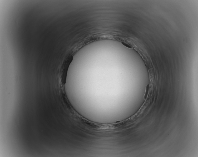 X0000100320415200806051354