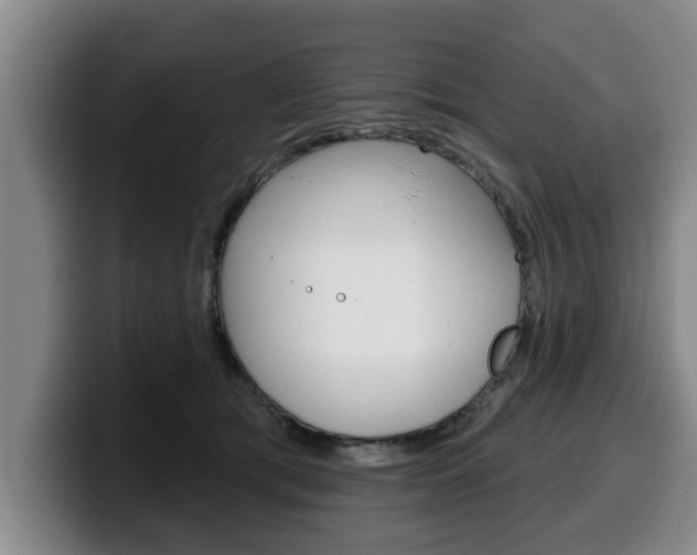 X0000100320417200806051354