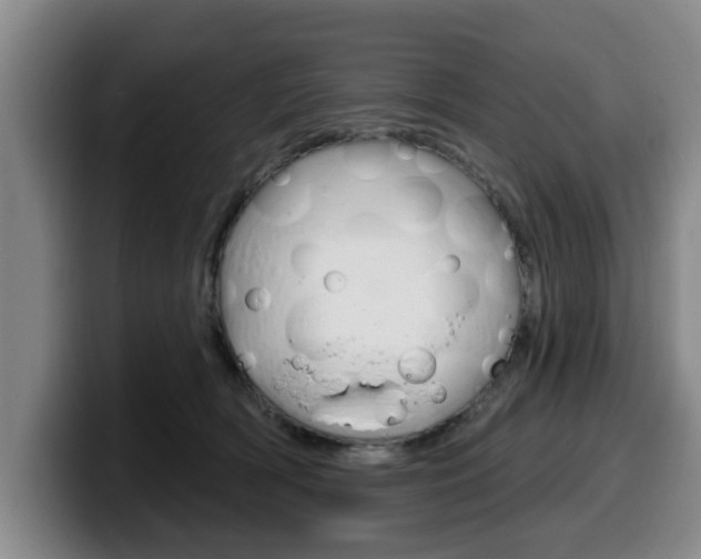 X0000100320418200806051354