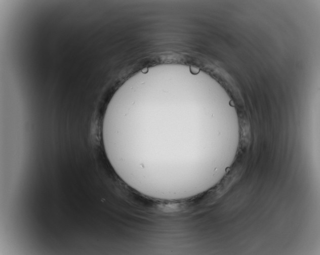 X0000100320419200806051354