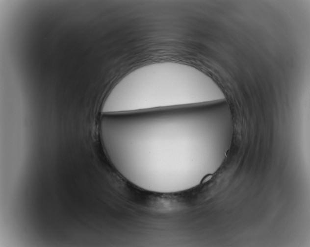 X0000100320420200806051354