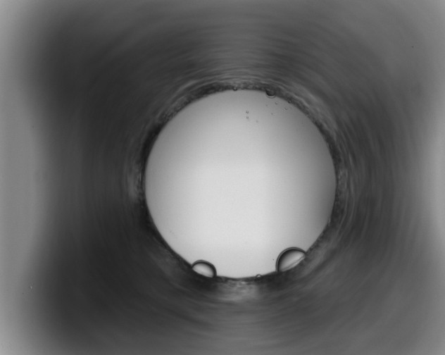 X0000100320421200806051354
