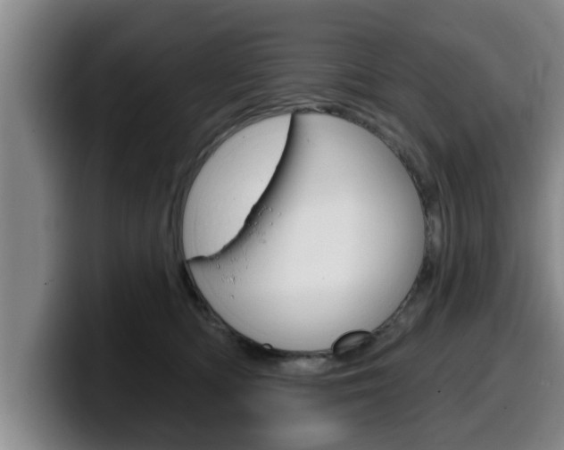 X0000100320422200806051354