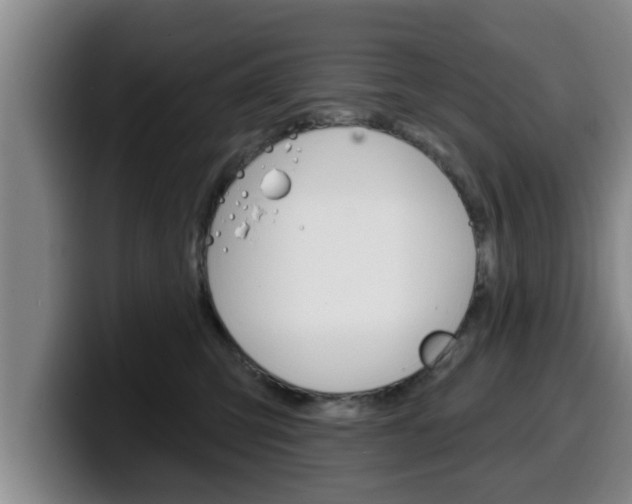 X0000100320423200806051354