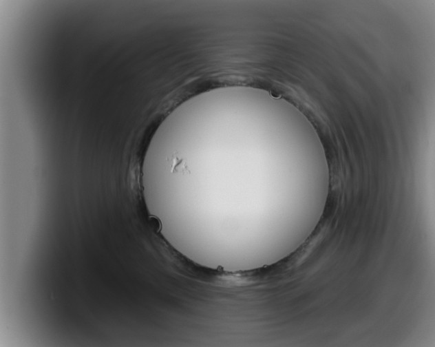 X0000100320425200806051354