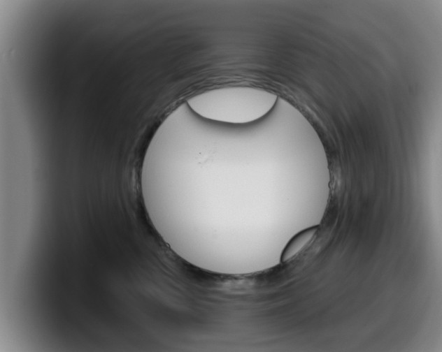 X0000100320426200806051354