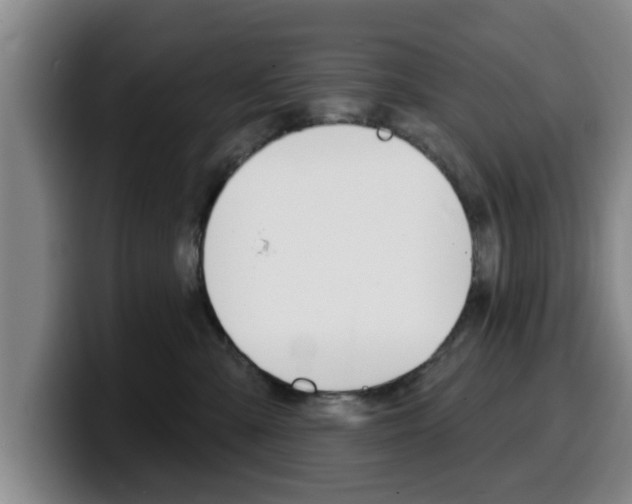X0000100320427200806051354