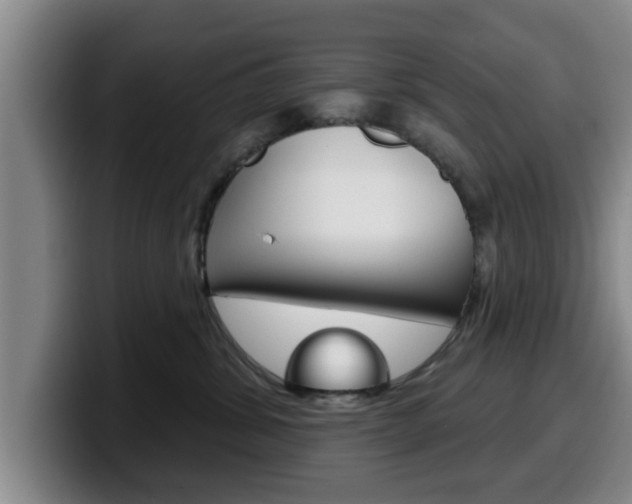 X0000100320428200806051354