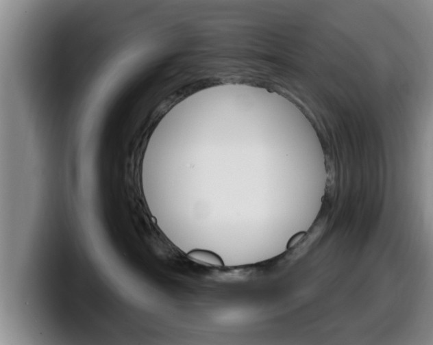 X0000100320430200806051354