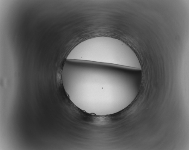 X0000100320432200806051354