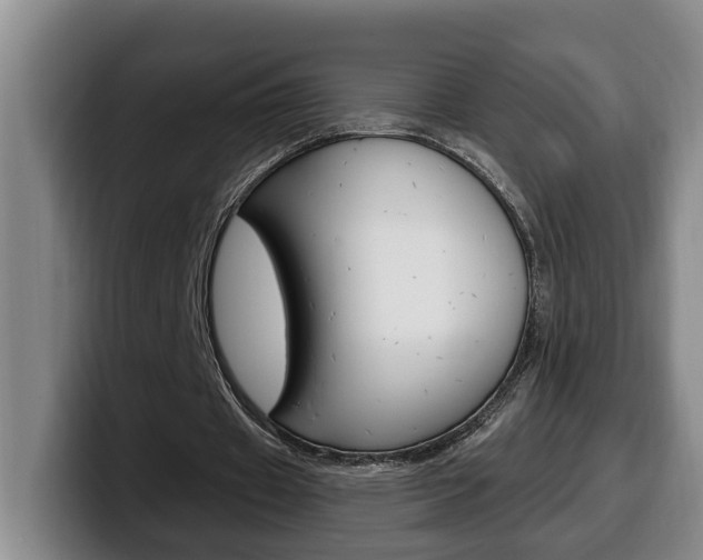 X0000100320433200806051353