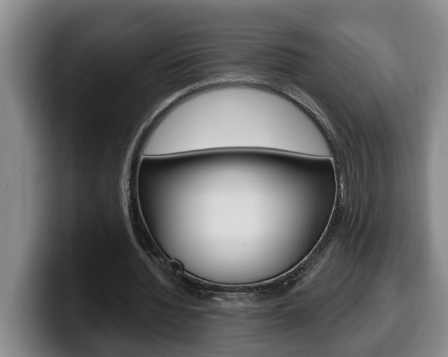 X0000100320436200806051353