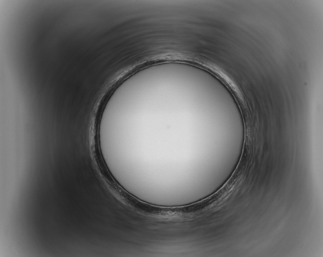 X0000100320437200806051353