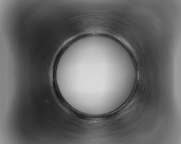 X0000100320438200806051353