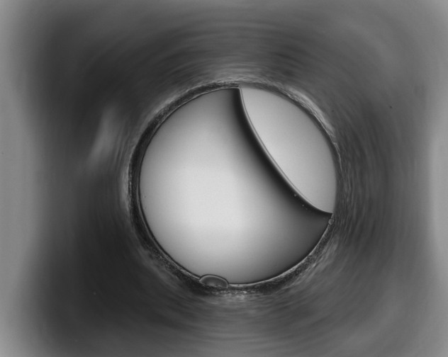 X0000100320439200806051353
