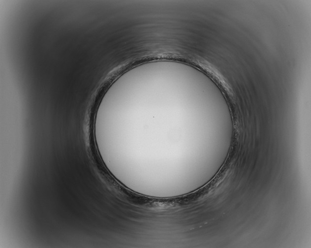 X0000100320442200806051353