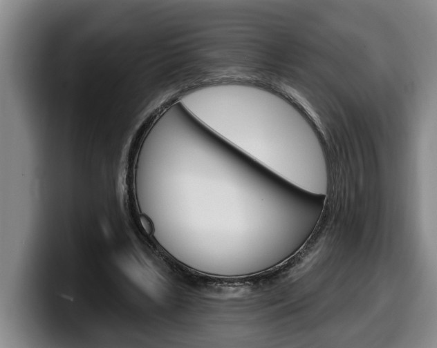X0000100320443200806051353