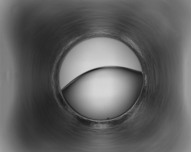 X0000100320444200806051353