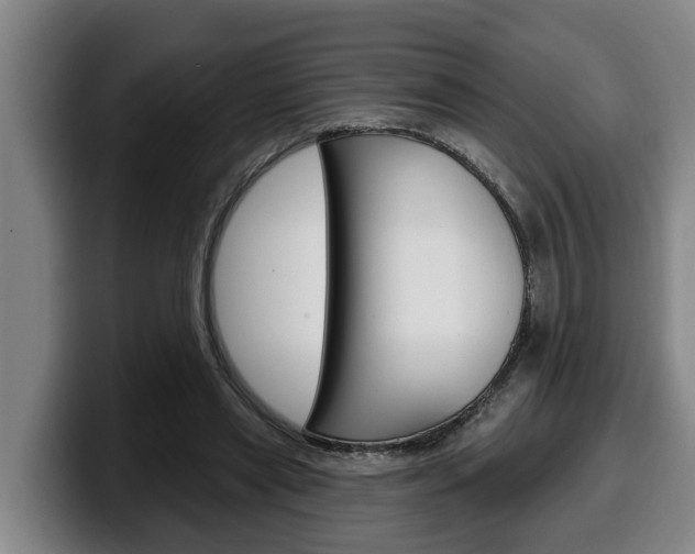 X0000100320445200806051353