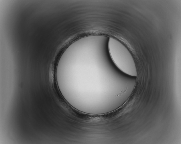 X0000100320446200806051353