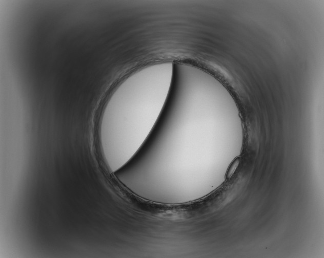 X0000100320447200806051353