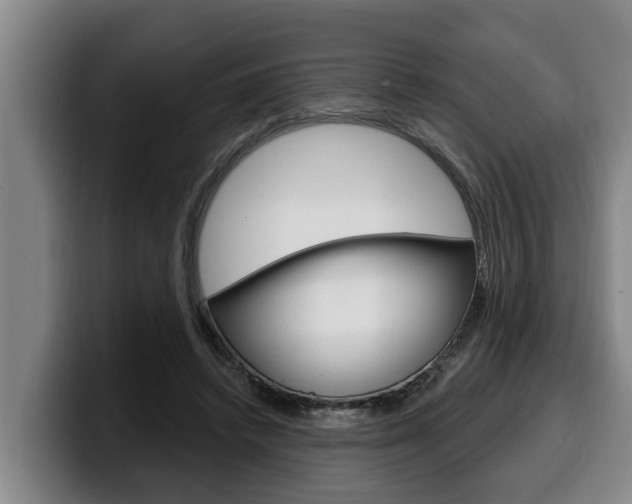 X0000100320448200806051353