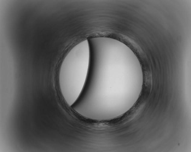 X0000100320451200806051353