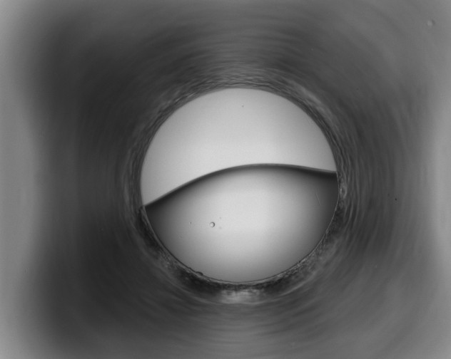 X0000100320452200806051353