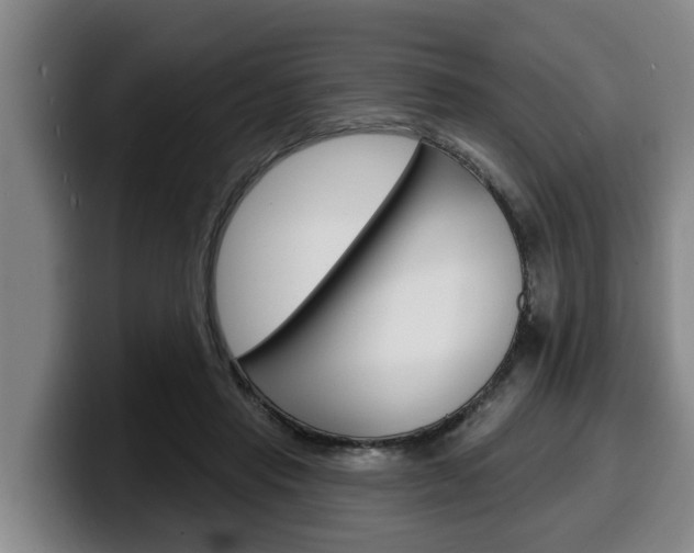X0000100320453200806051353