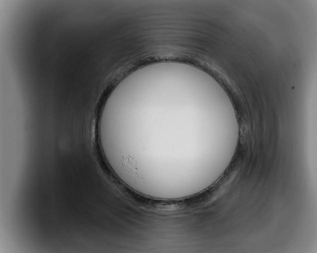 X0000100320454200806051353