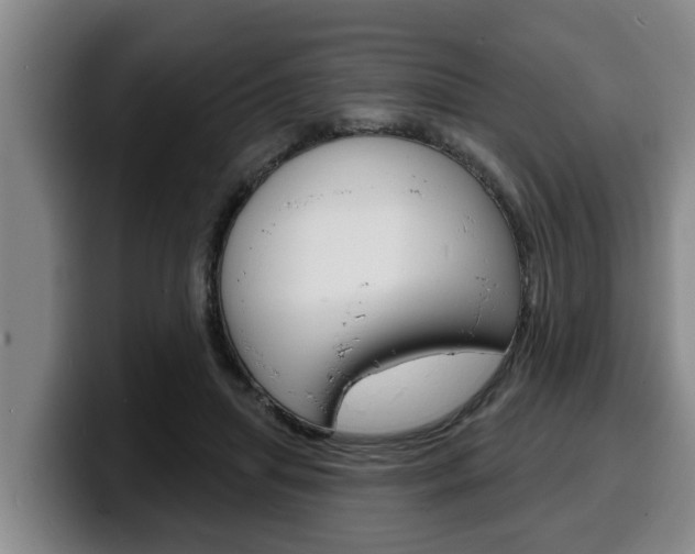 X0000100320455200806051353