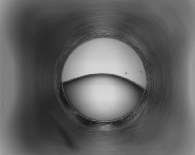 X0000100320456200806051353
