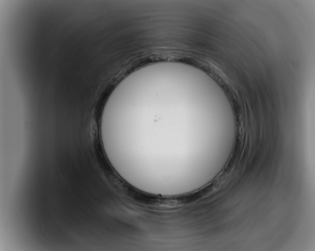 X0000100320459200806051353